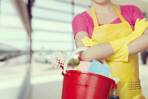 Commercial cleaning support for a clean and organised office