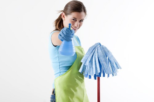 Professional steam carpet cleaning equipment in a Ruislip home