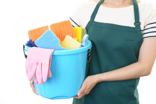 Professional stain removal service for carpets and upholstery in Ruislip