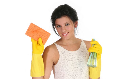 Local pet stain and odour treatment preparation in a Ruislip property