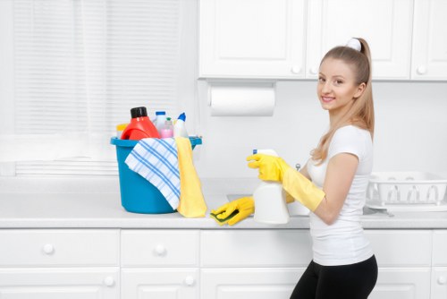 Oven cleaning service for a Ruislip property with modern appliances