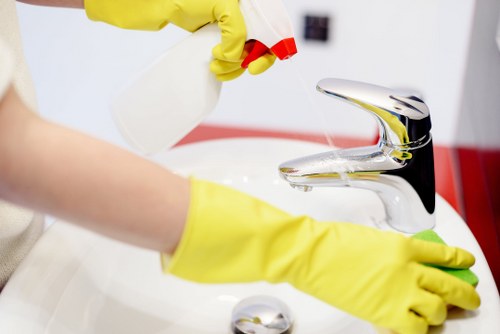Client booking a professional cleaning appointment with clear service terms