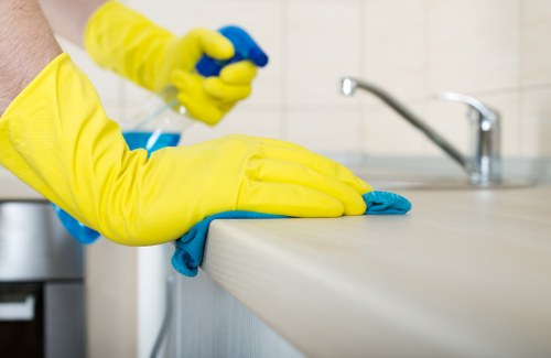 Local cleaner carrying out a scheduled house clean in Ruislip