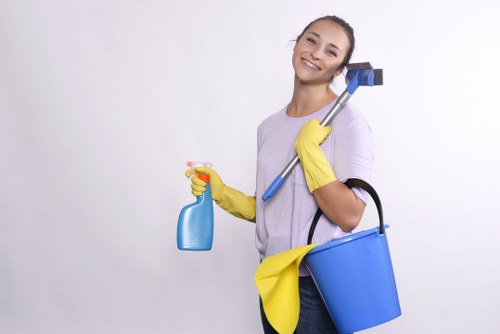 Detailed domestic cleaning for homes near Ruislip and surrounding areas